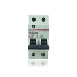 Breaker de Riel Bipolar 2 X 20 AMP 6 KA Proteccion Termomagnetica PT349394