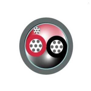 Cable Control 2x22 AWG Gris Apantallado Foil 300V Chaq.FR-PVC DW 22 AWG 80Grado Condu. Cobre Estañado 8008451109 I2-250618