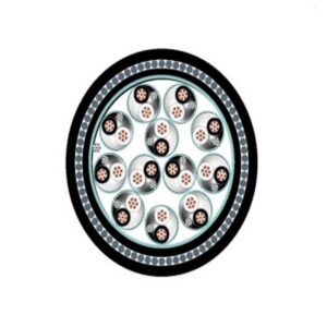 Cable Instrumentacion 12x2x20 AWG Armadura SWA Negro Apant Foil FR-PVC ResUV DW 300V 90Grados Uso Int-Ext 8762012101 I2-250618