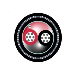 Cable Instrumentacion 1x2x24 AWG Armadura SWA Negro Apant Foil FR-PVC ResUV DW 300V 90Grados Uso Int-Ext 780402S101 I2-250618