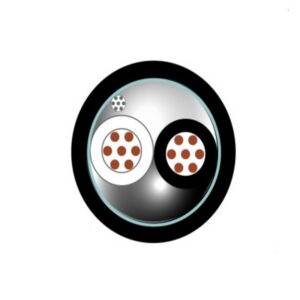 Cable Instrumentacion 2x18 AWG Negro Libres de Halogenos HFFR Apant Foil DW 20 AWG 300V 80Grados 8S81M01101 I2-250618